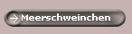 Meerschweinchen